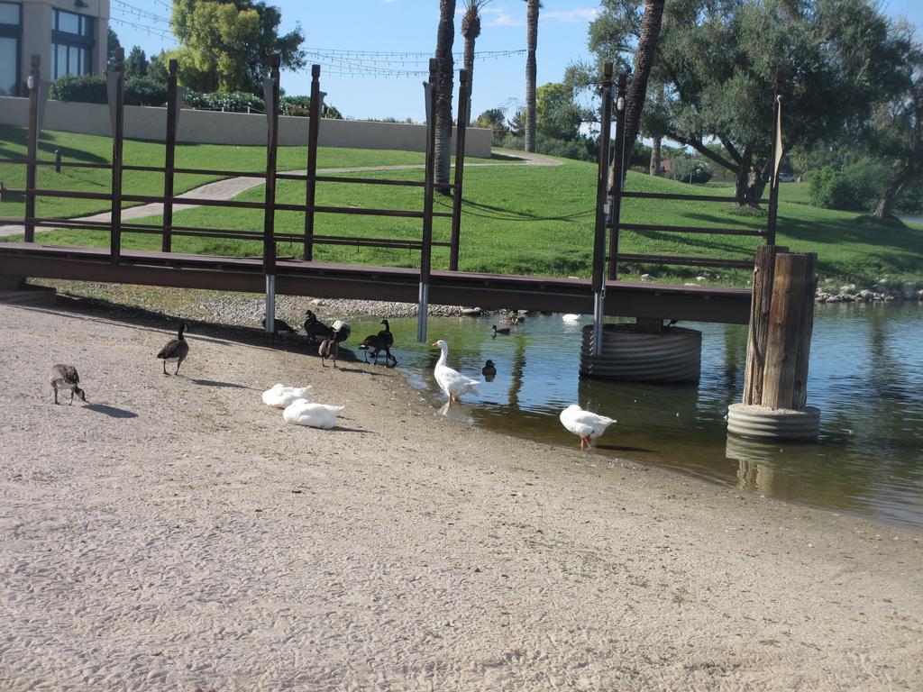 Mccormick Ranch Golf Villa Scottsdale Buitenkant foto